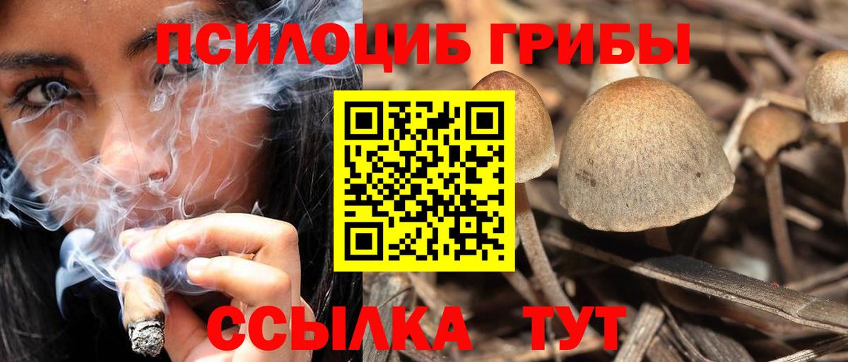 Псилоцибиновые грибы MAGIC MUSHROOMS  Батайск 
